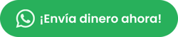 elektrago-send-money-now-cta