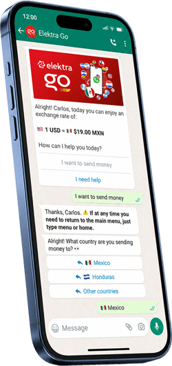 elektrago-send-money-on-whatsapp-phone
