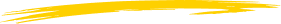 Vector